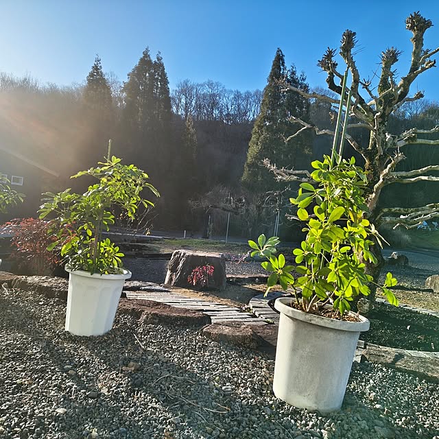 Rubiconさんの部屋