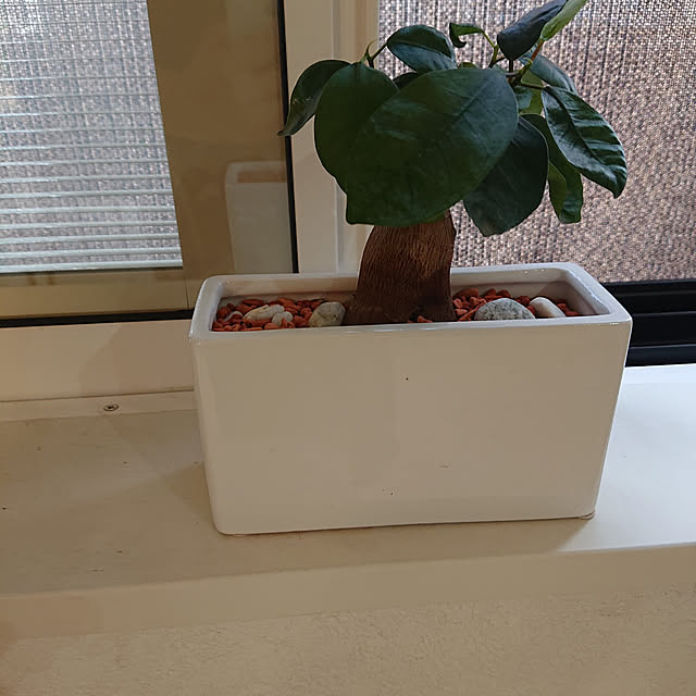 ucaさんの実例写真