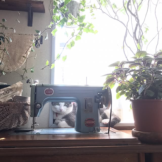 mucc08さんの実例写真