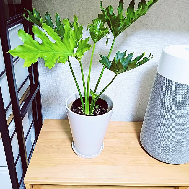 hanachanさんの実例写真