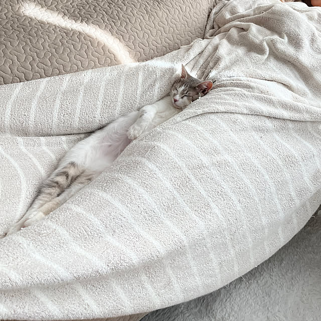 comiriさんの部屋