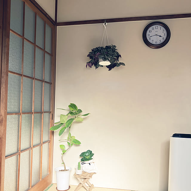 mizunokiさんの実例写真