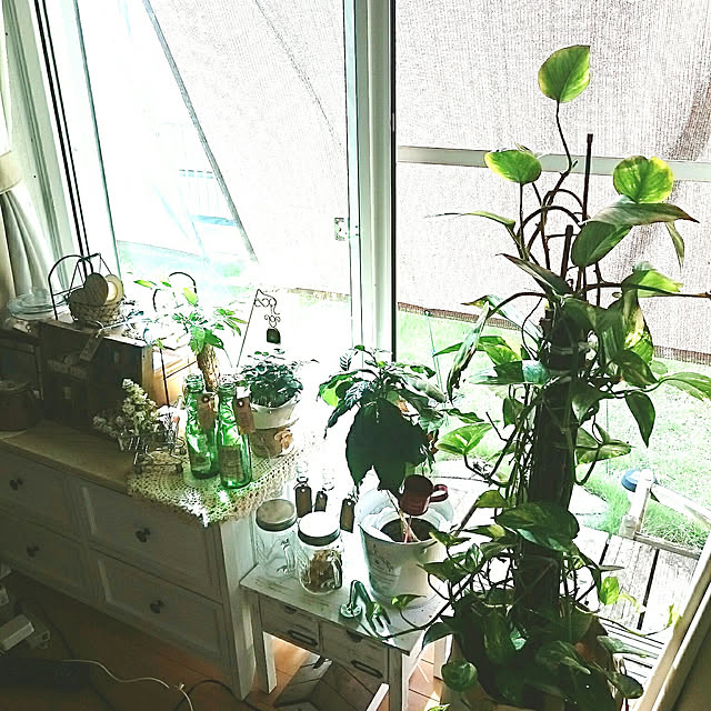 misaさんの実例写真