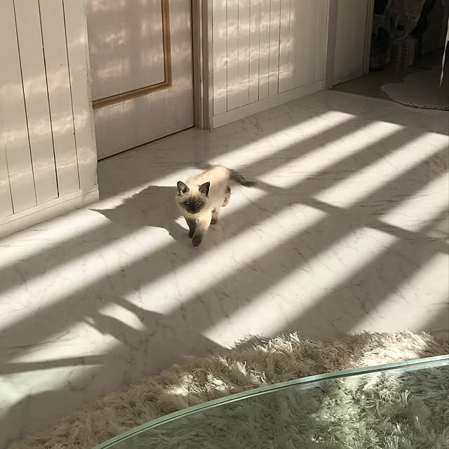 gingerwynksさんの実例写真