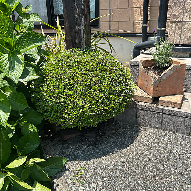ritsukoさんの部屋