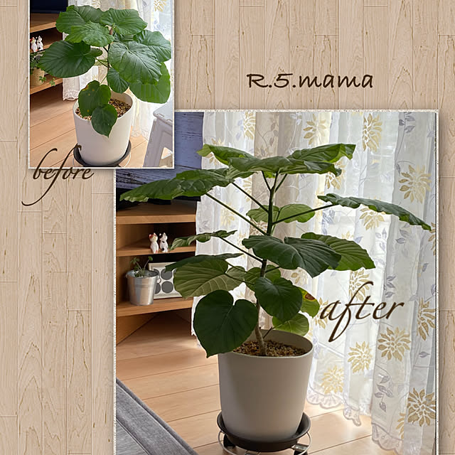 R.5.mamaさんの実例写真