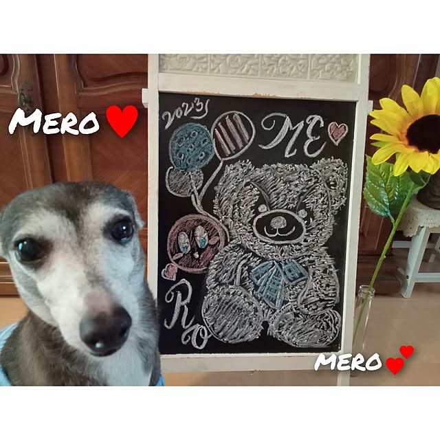 moruさんの実例写真