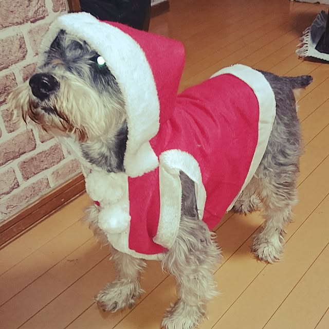 aomonさんの実例写真
