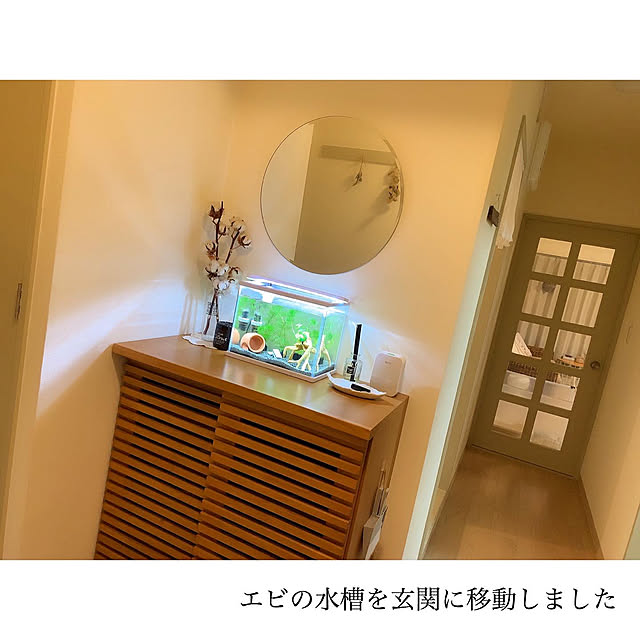 chaluさんの実例写真
