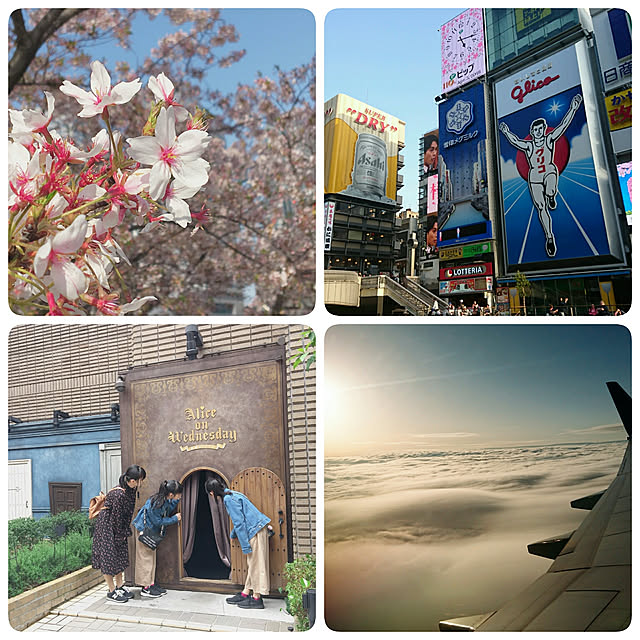 実例写真