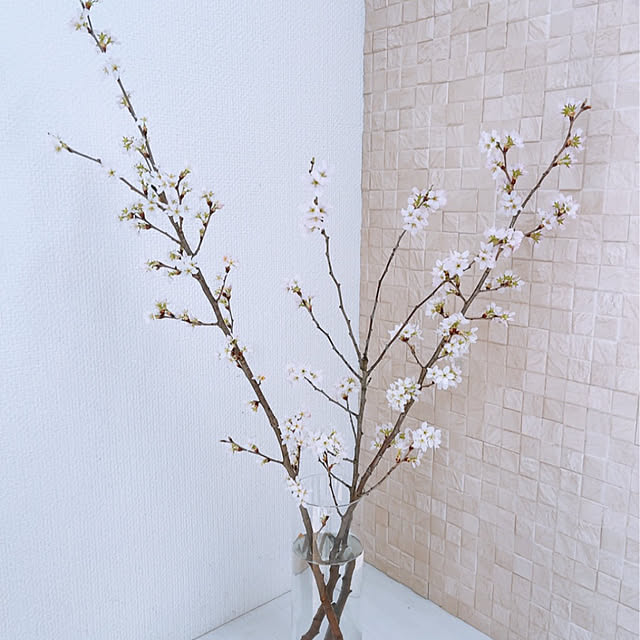リビング/桜/枝物/海外インテリアに憧れる/建売...などのインテリア実例 - 2025-03-14 10:25:12