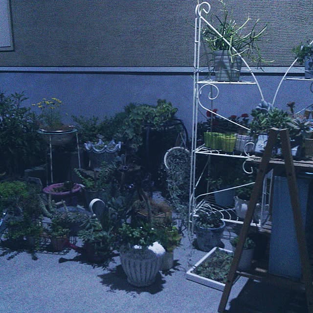 akr29さんの実例写真