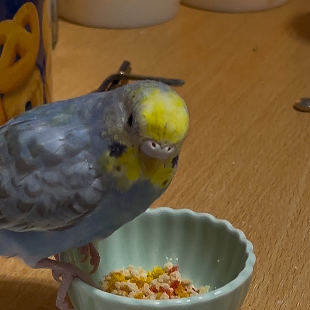 Atsukoさんの部屋