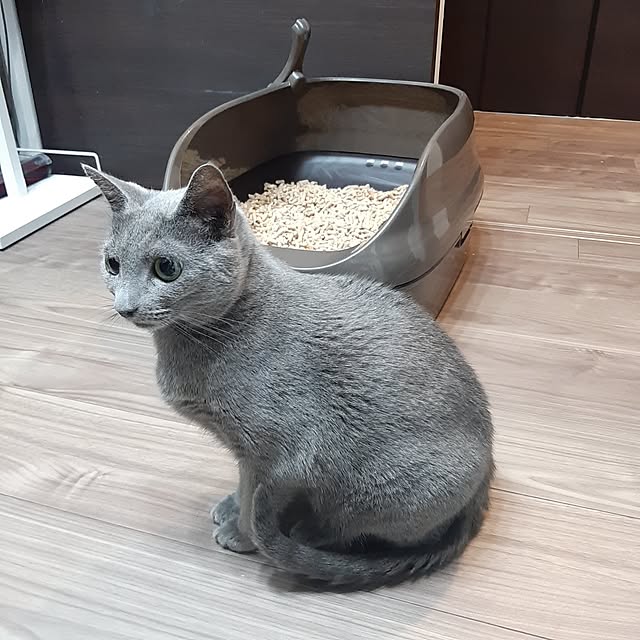 Ayanaさんの部屋