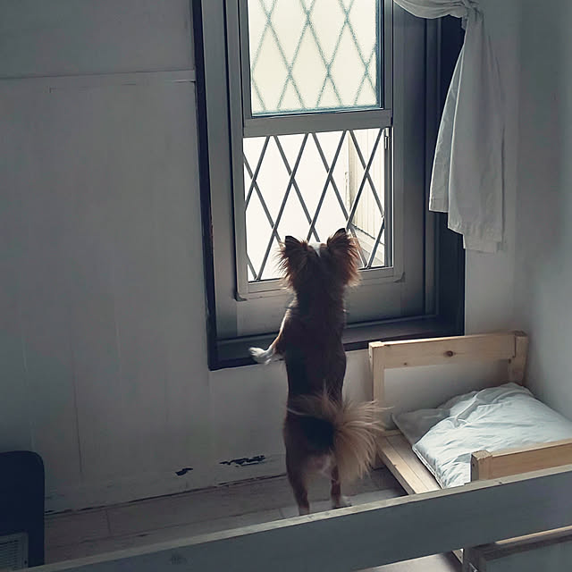 M_house_officialさんの実例写真