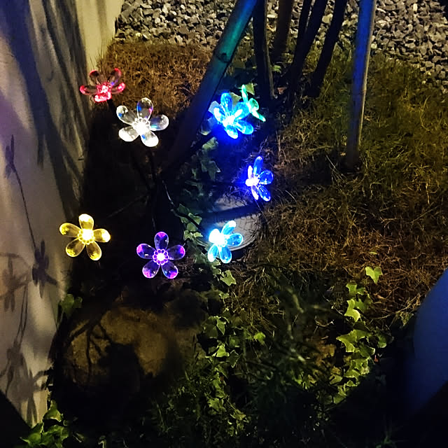 cocoさんの実例写真