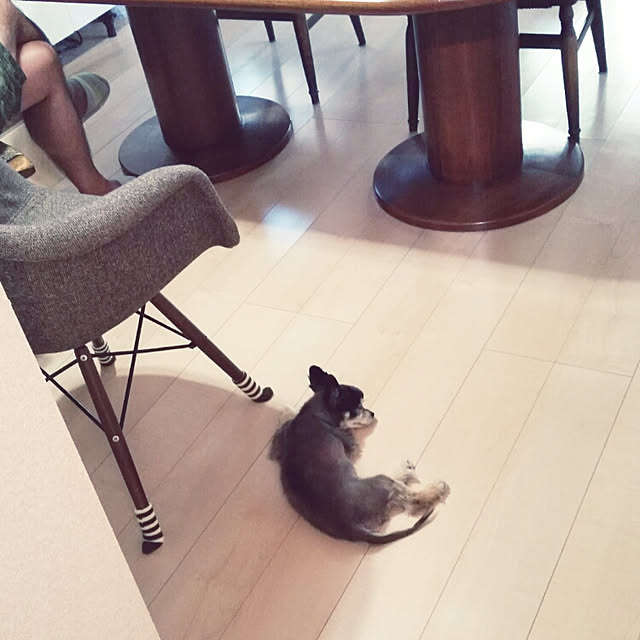 nia1213さんの実例写真