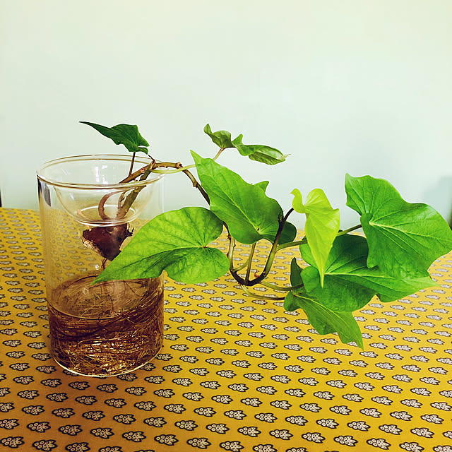 cloverさんの実例写真