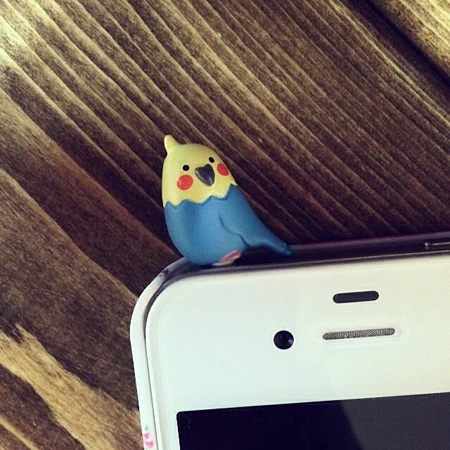 Sachuさんの実例写真