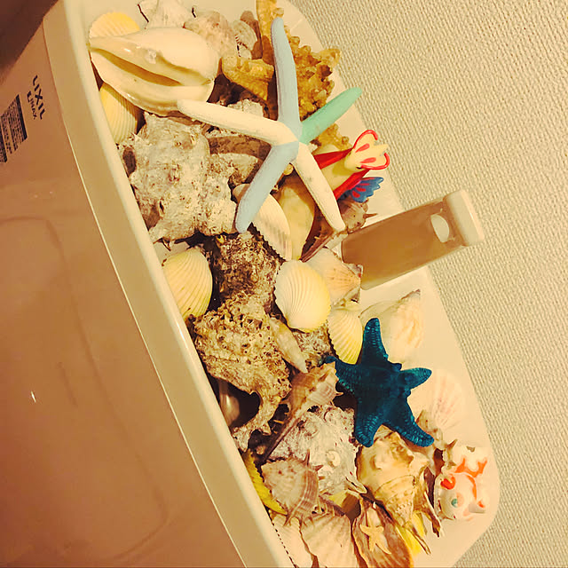 toshikunzebraさんの実例写真