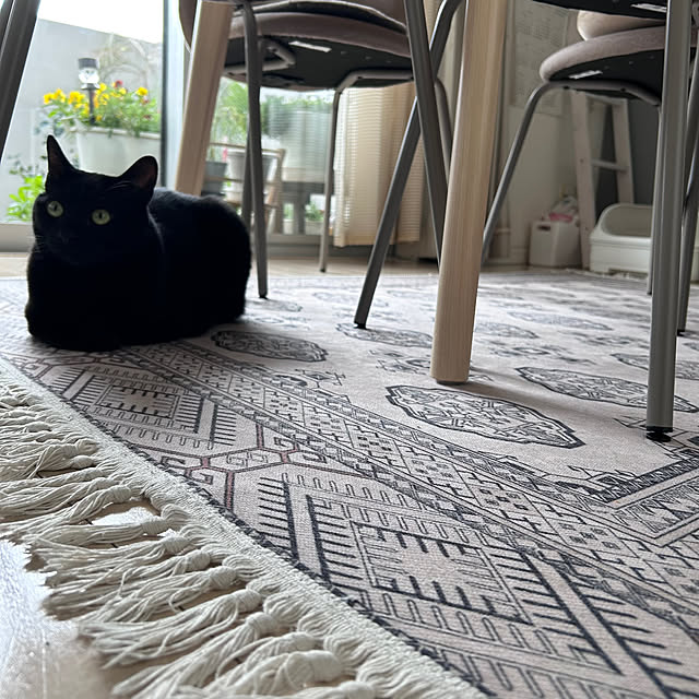 nekomiさんの部屋