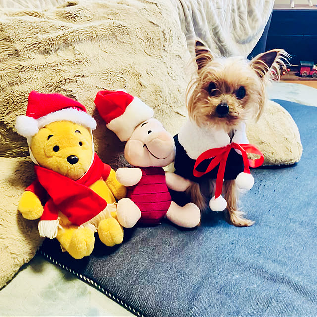 CoCo0617さんの実例写真