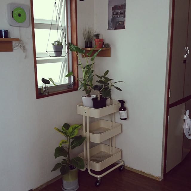 haruさんの実例写真