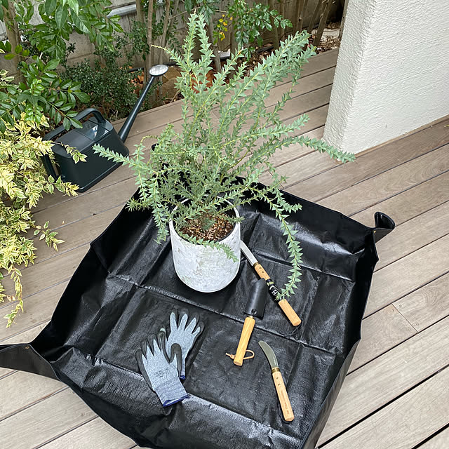 Royal_Gardeners_Clubさんの実例写真