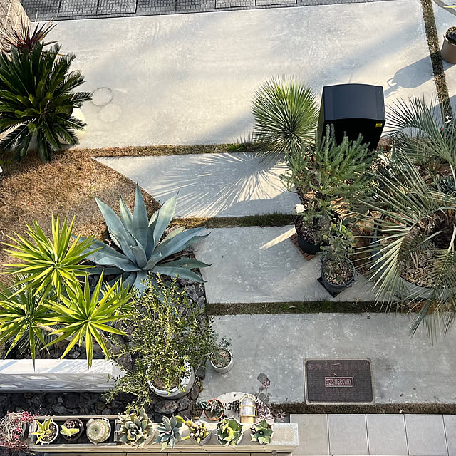 poponさんの実例写真