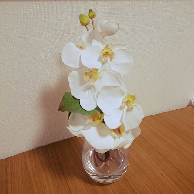 yunさんの実例写真