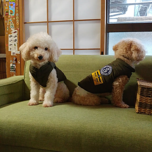 nontenrunさんの実例写真