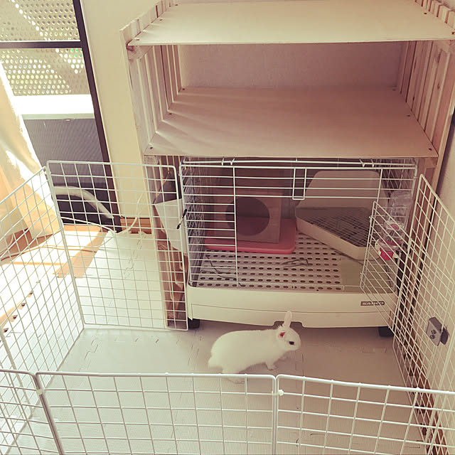 Mamiさんの実例写真