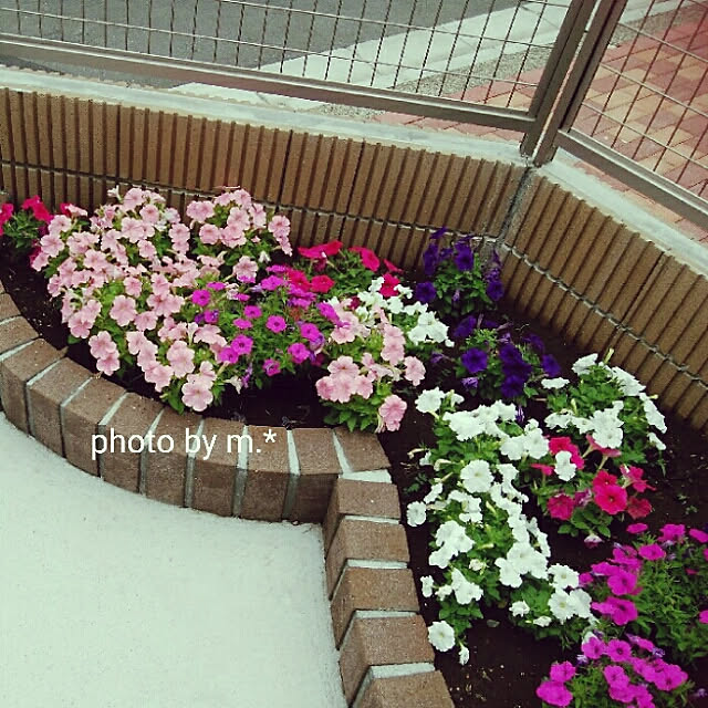 maikoronnさんの実例写真