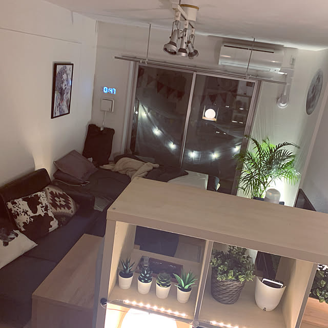 観葉植物/IKEA/一人暮らし/部屋全体のインテリア実例 - 2020-11-04 00:53:06