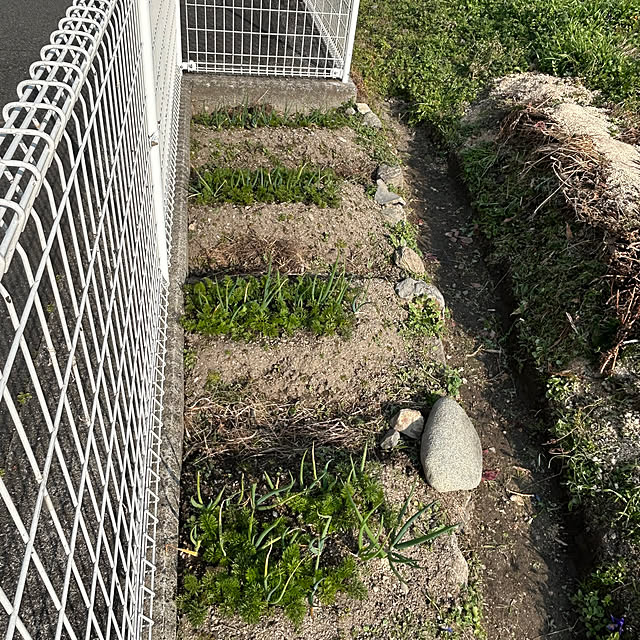 ritsukoさんの部屋