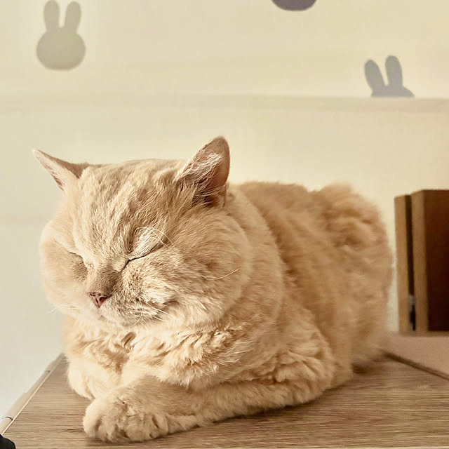 naokoさんの部屋