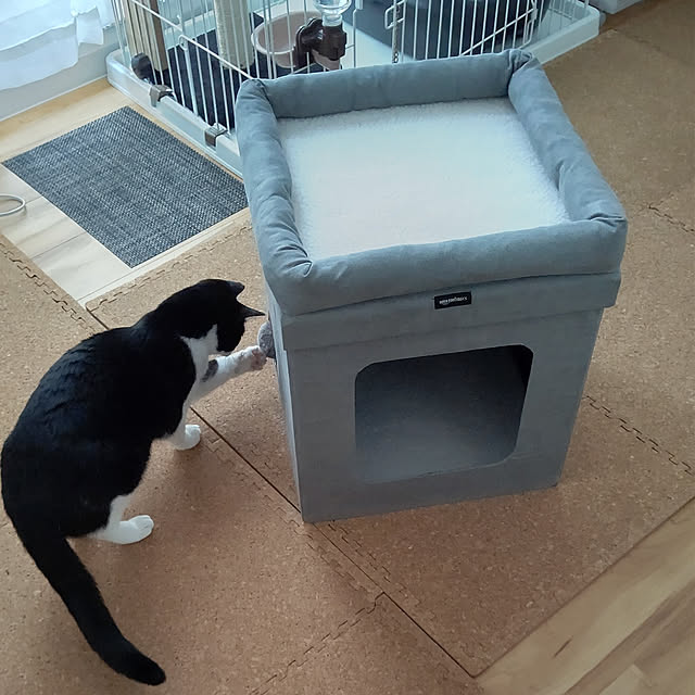 hihaさんの実例写真