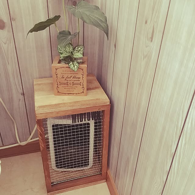 chi-koさんの実例写真