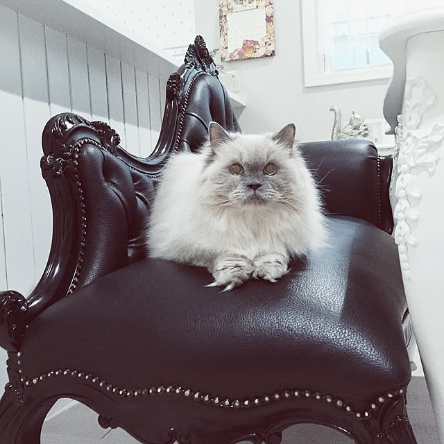yuchiさんの実例写真