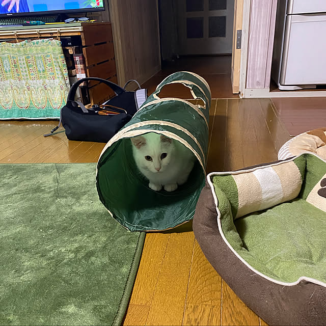 SHIHOさんの実例写真