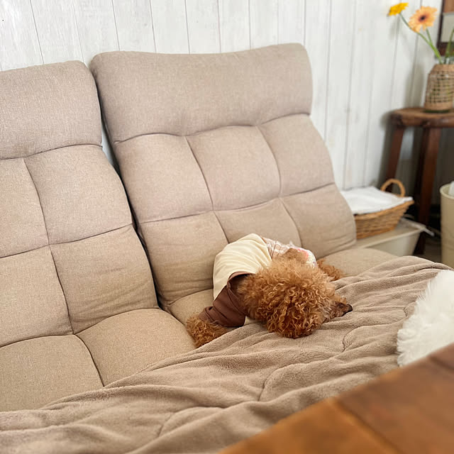 rookuさんの部屋