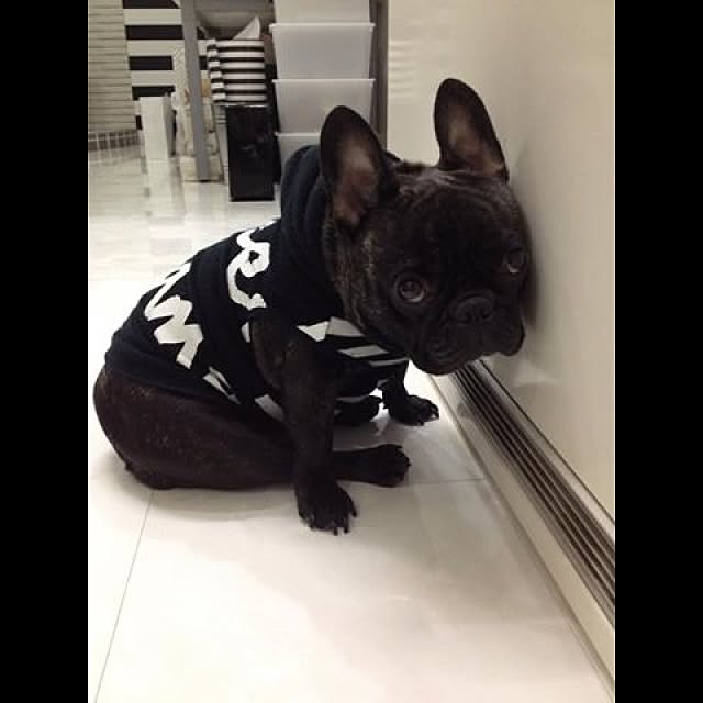 monosisさんの実例写真