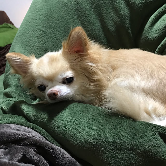 MIUさんの実例写真