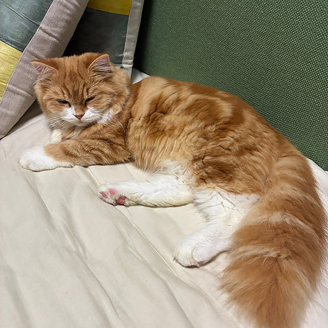 uchidaizuさんの部屋