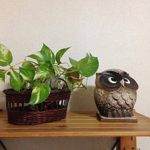 nonnonさんの実例写真