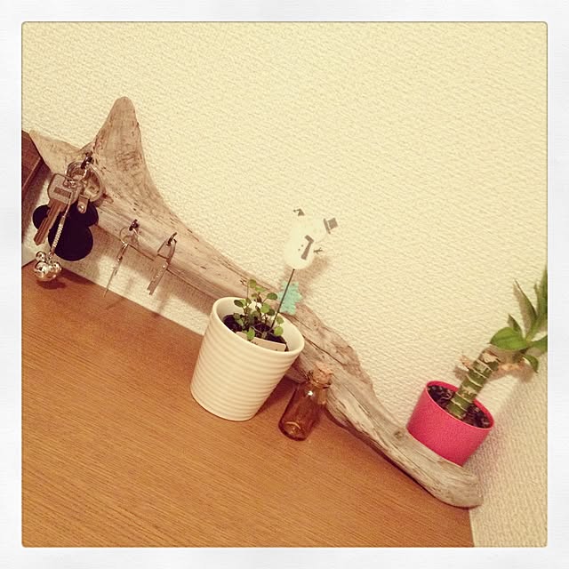 grinさんの実例写真