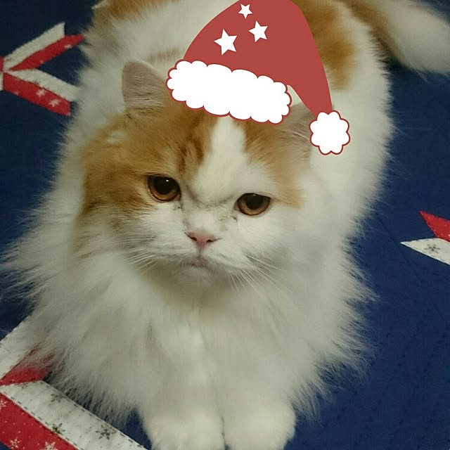 1ldksさんの実例写真