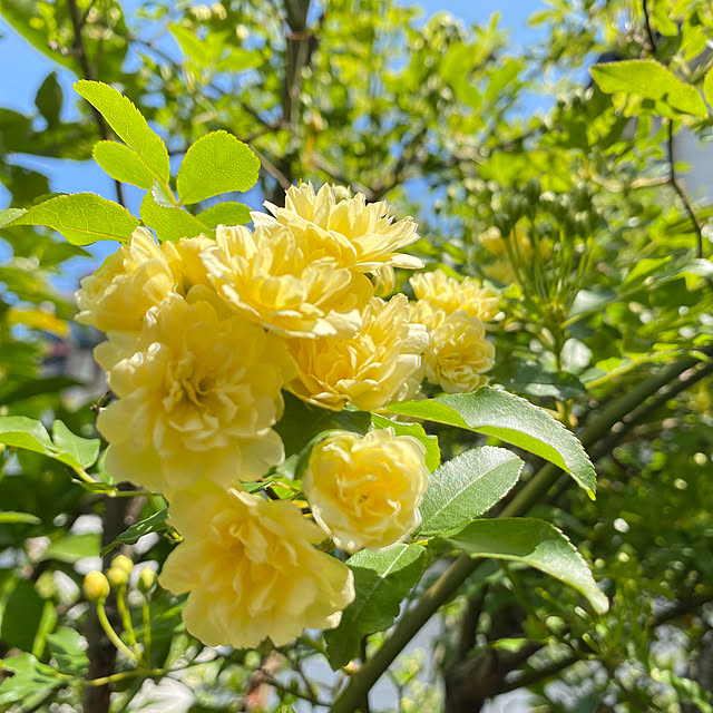 atsuyanさんの部屋