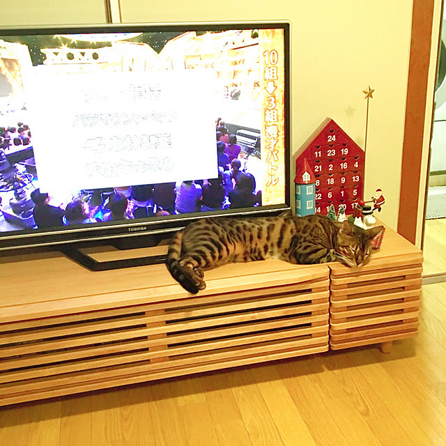 anさんの実例写真