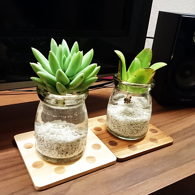 棚/観葉植物/多肉植物/水耕栽培/初挑戦！...などのインテリア実例 - 2018-03-12 22:11:05
